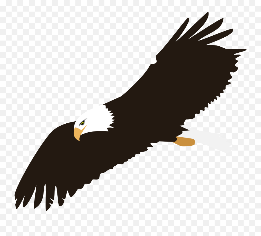 Soaring Bald Eagle Vector Clipart Image - Transparent Background Eagle Clipart Emoji,Twin Towers Emoji