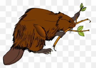 Beaver Clipart Beaver Tooth Beaver Beaver Tooth Transparent - Beaver Clipart On Wood Emoji,Beaver Emoji