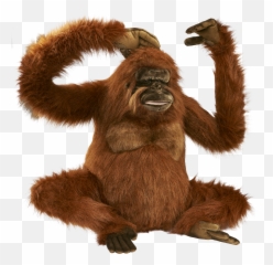 Fingerprint Orangutan Transparent Png Emoji