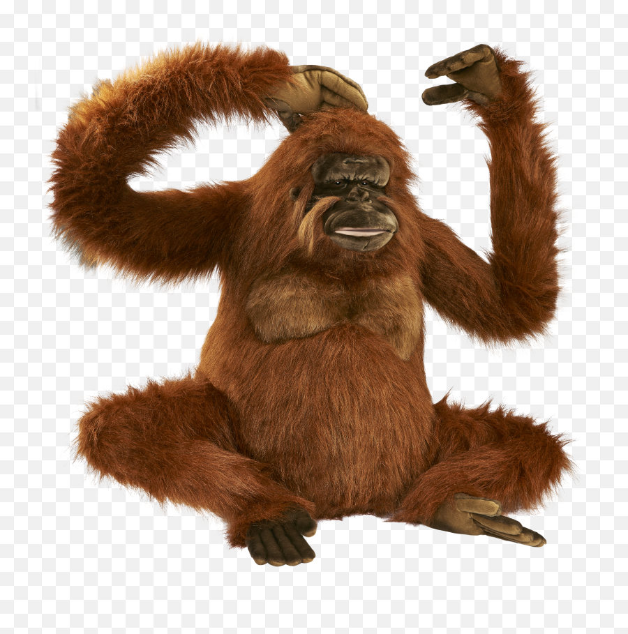 Fingerprint Orangutan Transparent Png Emoji,Orangutan Emoji