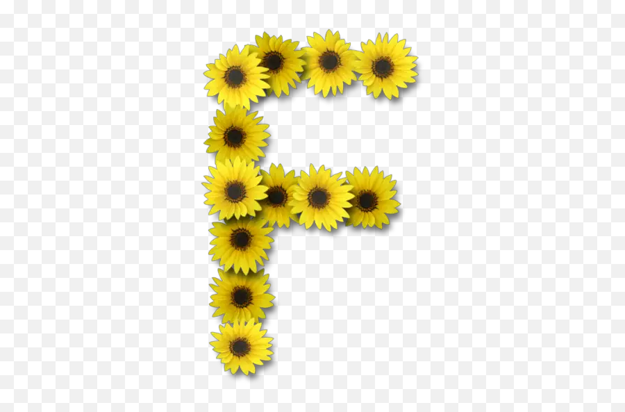 Sunflower Letters Stickers For Whatsapp - Sunflower Letter E Emoji,Sunflower Emoji