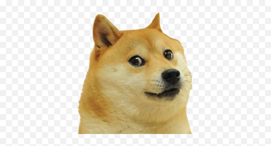 Do You Like Akp Emojis - Doge Png,Raccoon Emoji