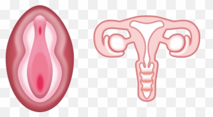 The Worlds First Vagina Emoji Is Here Its Glorious - Vagina Emoji,Universal Emojis