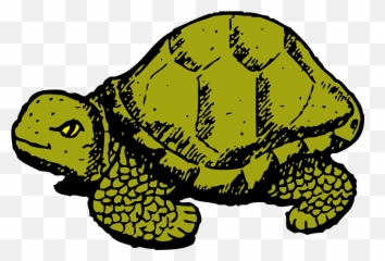 Tortoise Green Wildlife - Tales A Fourth Grade Nothing Emoji,Turtle Bird Emoji