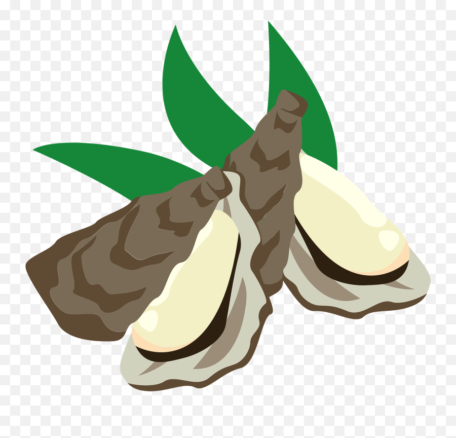 Oyster Food Clipart Free Download Transparent Png Creazilla - Clip Art Emoji,Clam Emoji