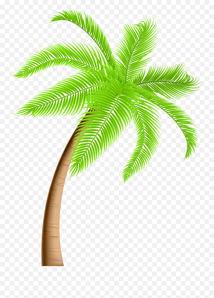 73845 Tree Free Clipart - Palm Tree Clipart Png Emoji,Palm Tree Book Emoji