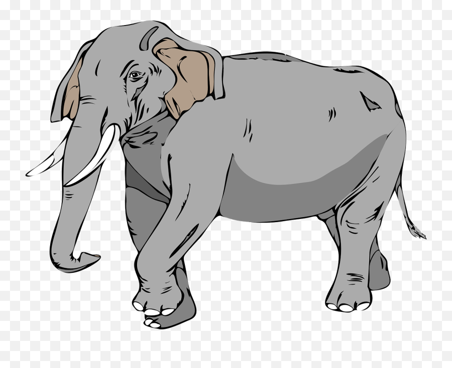 Elephant Large Animal Mammal Trunk - Big Clipart Emoji,Ten And Rain Emoji