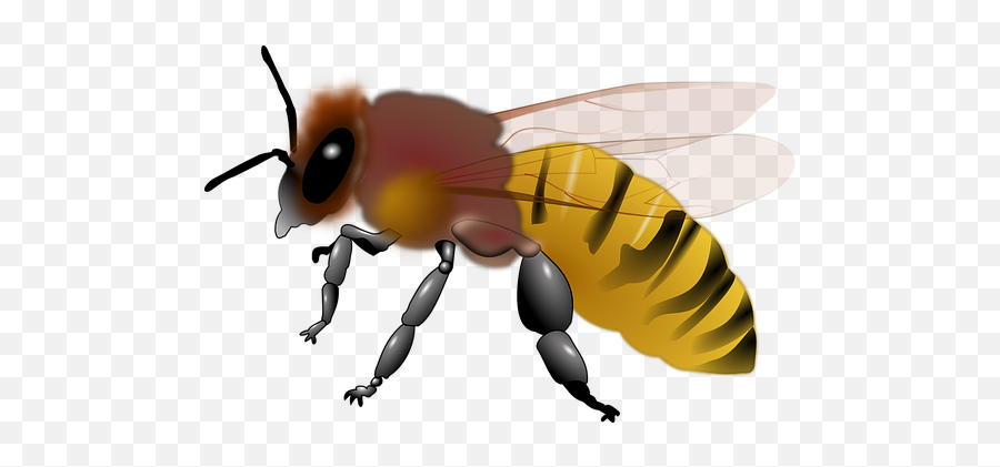 Free Bee Honey Vectors - Clip Art Cartoon Honey Bee Bee Emoji,Zzz Ant Ladybug Ant Emoji