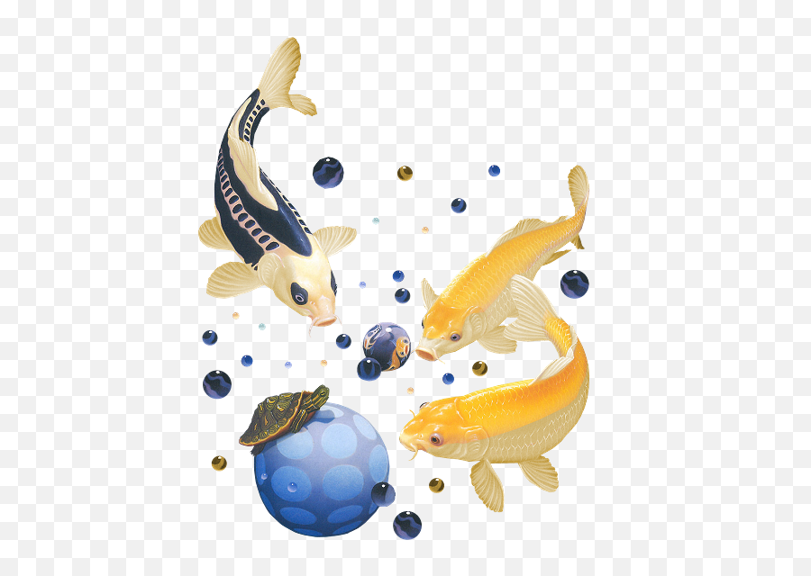 Fish Japan Psd Official Psds - Aquarium Fish Emoji,Koi Fish Emoji