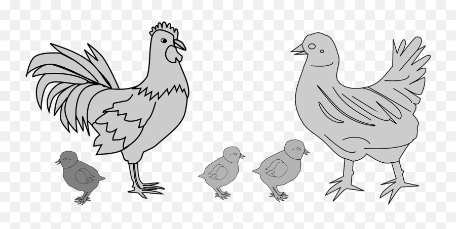 Chicken Hen Farm Poultry Bird - Hen In Farm Cartoon Png Emoji,Chicken Nugget Emoji