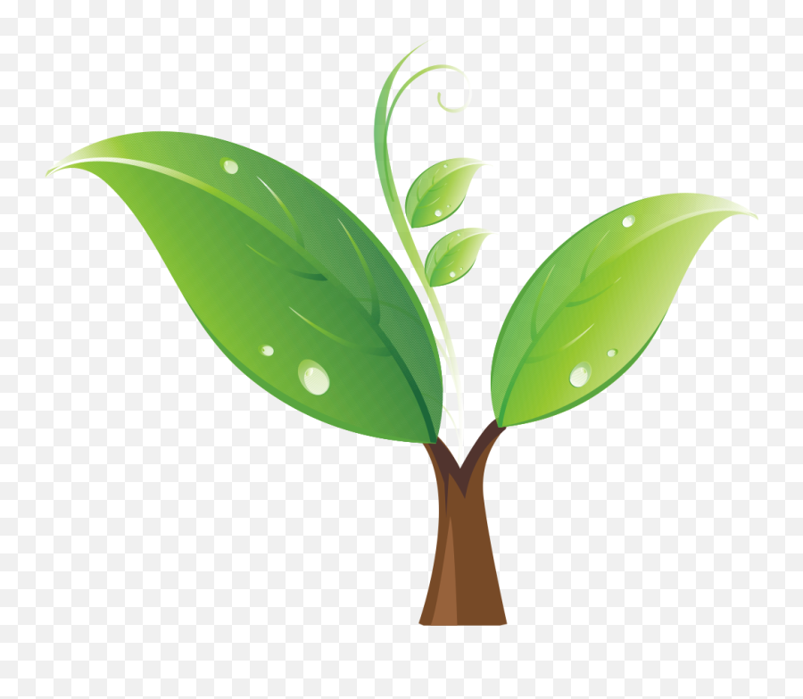 Planting Clipart Sprout Planting Sprout Transparent Free - Tree Sprout Clipart Emoji,Sprout Emoji