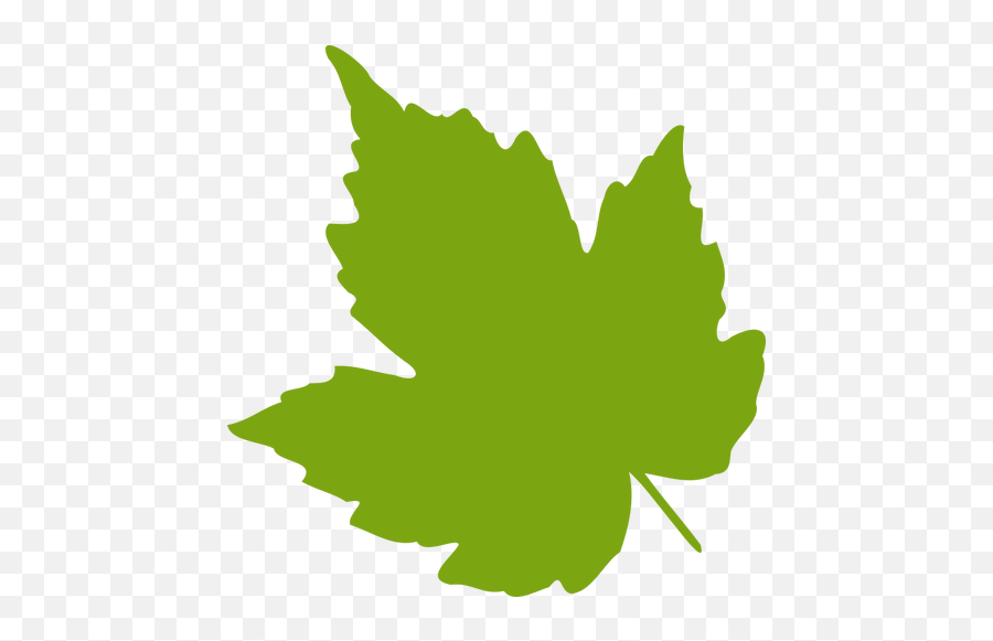 Green Maple Leaf Vector Image - Clip Art Grape Leaves Emoji,Fallen Leaf Emoji