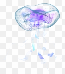 Jellyfish Tentacle Transparent Png Clipart Free Download - Jellyfish Png Emoji,Jellyfish Emoji