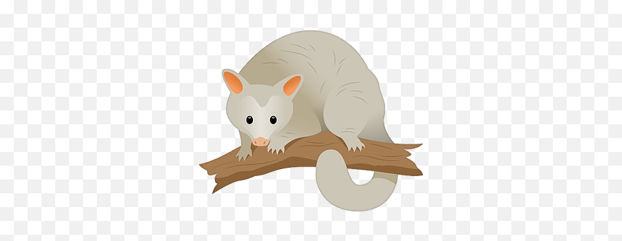 Antenhe - Rat Emoji,Possum Emoji