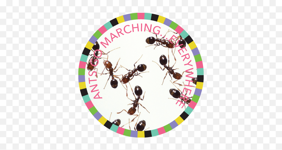 Ann Arbor District Library - Ants Emoji,Zzz Ant Ladybug Ant Emoji