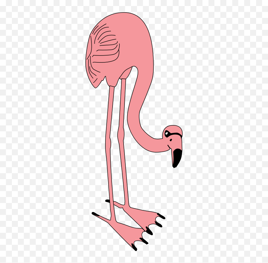 100 Emoji Whatsapp Number Numero - Flamingo,100 Emoji Vector