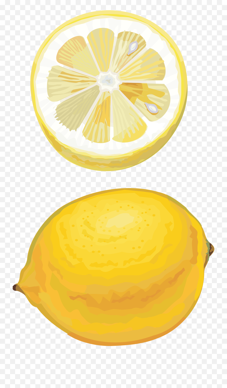 Pin - Lemon Drawing Png Emoji,Lemon Emoji Png