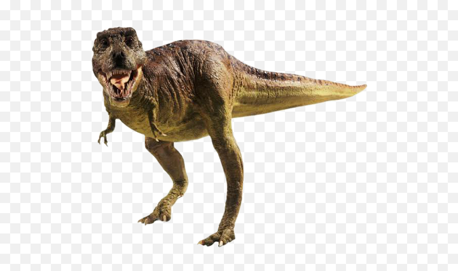 T - Dinosaurio Rex En Png Emoji,T-rex Emoji