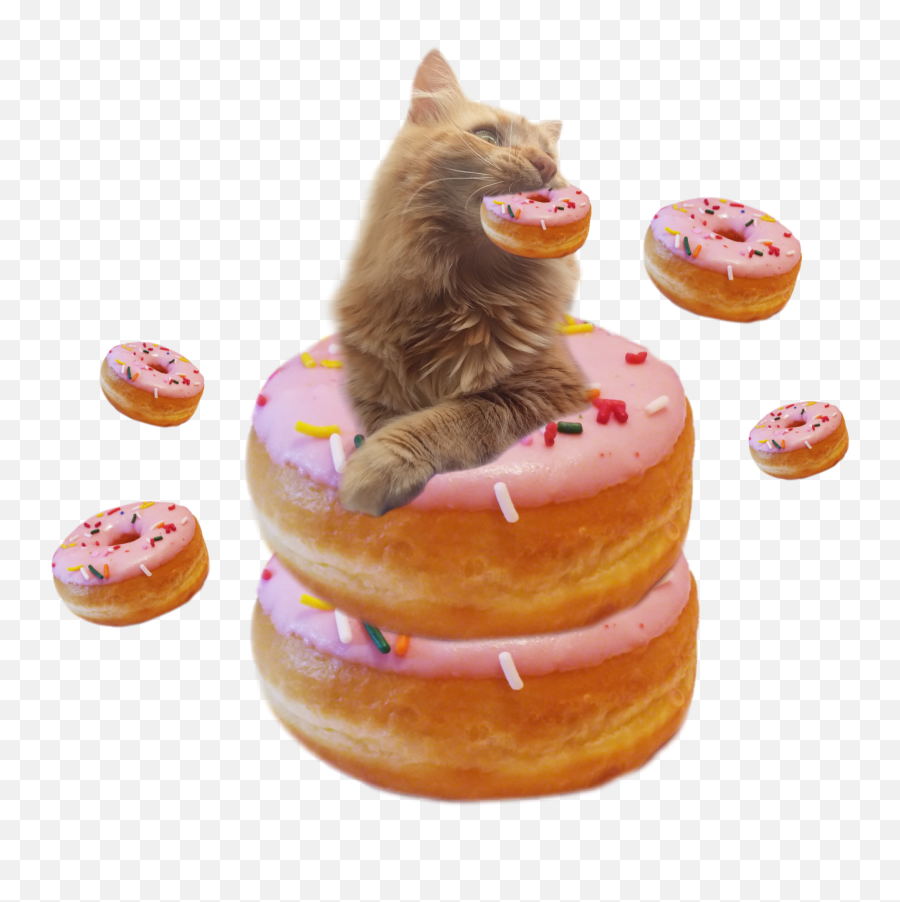Donut Kitty Cat Kitten Pink Strawberry - Bánh Emoji,Cat Emoji Cake