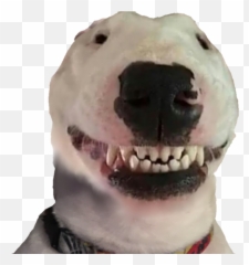 Helpful Sheets - Walter Dog Smiling Emoji,Doge Emoji