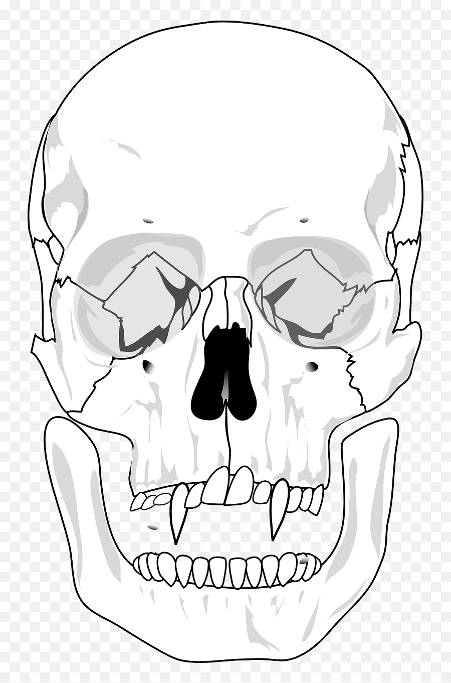 Evil Skull Devil Teeth Skeleton - Human Skeleton Facial Diagram Emoji,Grim Reaper Emoji