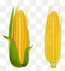 Clipart Corn Png Emoji