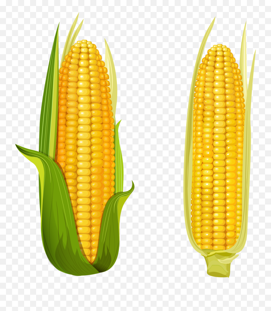 Clipart Corn Png Emoji,Emoji Corn