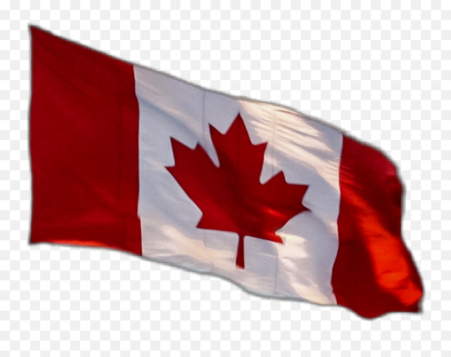 Canadianflag Canadaflag Flag Canada - Canada Emoji,Canadian Flag Emoji
