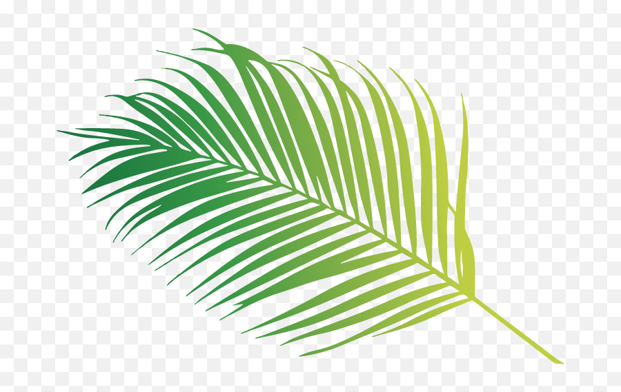 Coconut Leaf - Palm Tree Emoji,Palm Tree Book Emoji