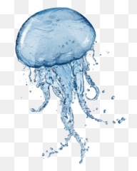 Free Png Images - Transparent Background Jellyfish Transparent Emoji,Jellyfish Emoji