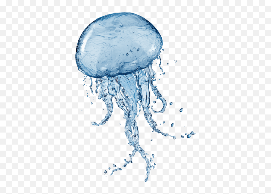Free Png Images - Transparent Background Jellyfish Transparent Emoji,Jellyfish Emoji