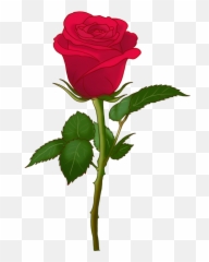 Please Accept This - Ios Rose Emoji Png,Plant Emoji