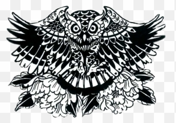 Owl Sticker - Automotive Decal Emoji