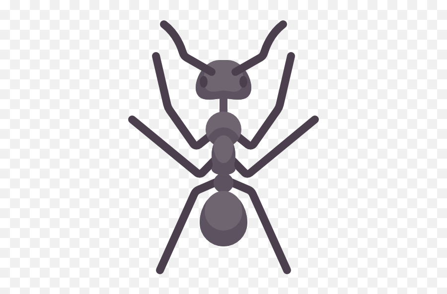 Ant Icon At Getdrawings - Spider Emoji,Ant Emoji