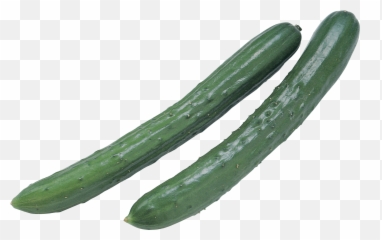 Download Free Cucumbers Png Image Icon Favicon - Cucumber Emoji,Cucumber Emoji