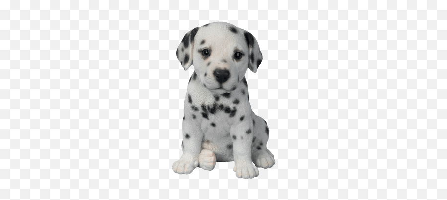 Puppy Clipart Transparent Background - Dalmatian Puppy Png Emoji,Dalmatian Emoji