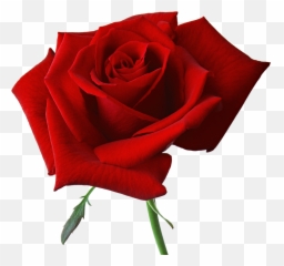 Library Of Wilting Flower Banner Royalty Free Png Files - Red Rose Png Hd Emoji,Wilted Flower Emoji