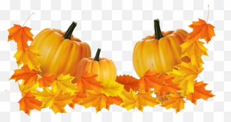 Aesthetic Pumpkin Clipart - Fall Thanksgiving Border Transparent Emoji