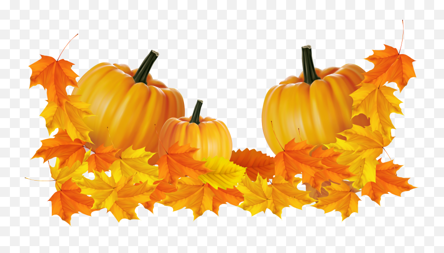 Aesthetic Pumpkin Clipart - Fall Thanksgiving Border Transparent Emoji,Pumpkin Emoji Iphone