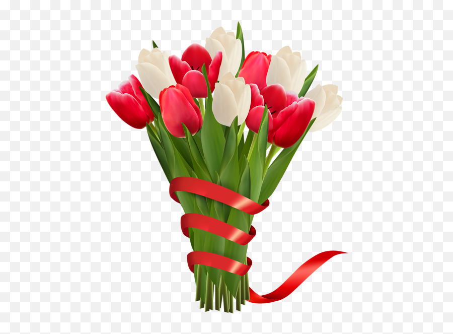 White And Red Tulips With Ribbon Png Clipart Image - Tulips And Roses Clipart Emoji,Tulip Emoji
