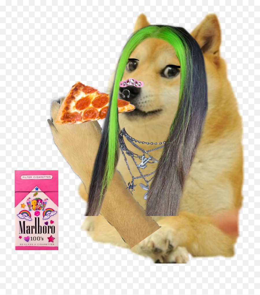 Egirl Doge Doge Sticker By Yin Smug Dance - Dog Clothes Emoji,Doge Emoji