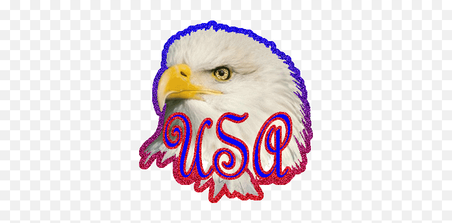 Eagle Glitter Gifs - Bald Eagle Emoji,Bald Eagle Emoji