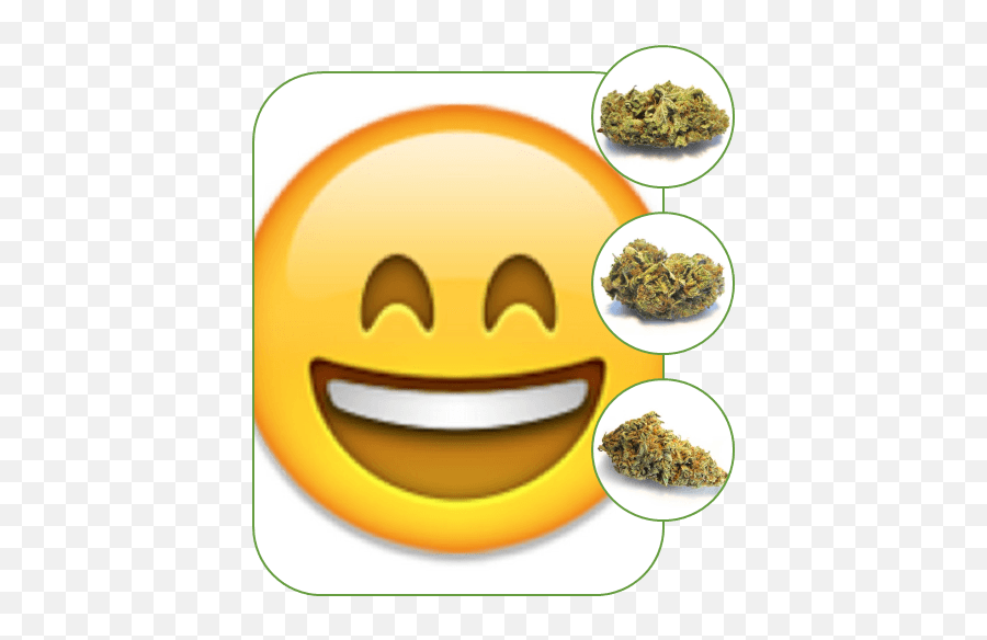 Order Cbd Oil Products Online In Canada - Emoji Icons,Weed Emoticon