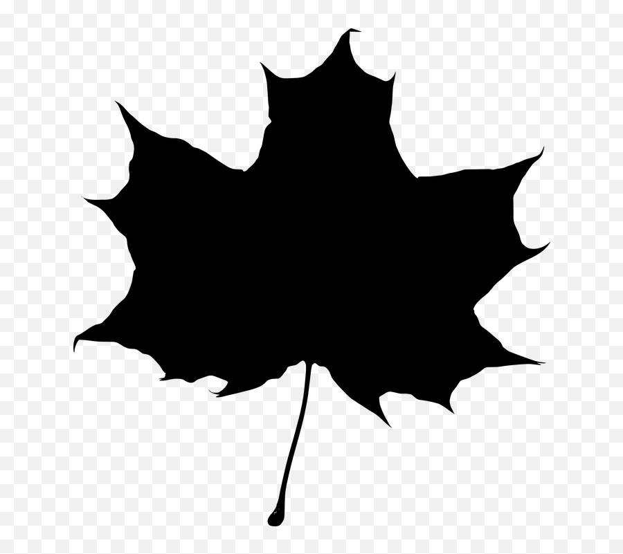 Maple Autumn Fall - Sugar Maple Leaf Silhouette Emoji,Fallen Leaf Emoji
