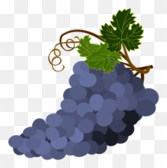 Purple Grapes Vector Image - Transparent Background Wine Grape Clipart Emoji,Leaves Emoticon