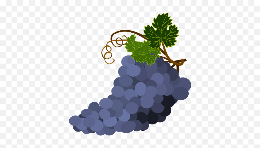 Purple Grapes Vector Image - Transparent Background Wine Grape Clipart Emoji,Leaves Emoticon