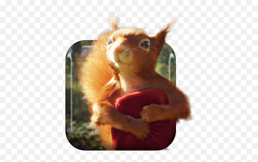Summer Squirrel Live Wallpaper 10 Download Android Apk - Eurasian Red Squirrel Emoji,Squirrel Emoji