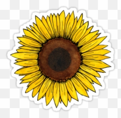 Fridayu0027 Sticker By Virginia Skinner Aesthetic Stickers - Stickers Sunflower Emoji,Shaka Emoji Iphone