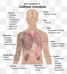 Regular use of caffeine can cause addiction Special - Caffeine Overdose Emoji