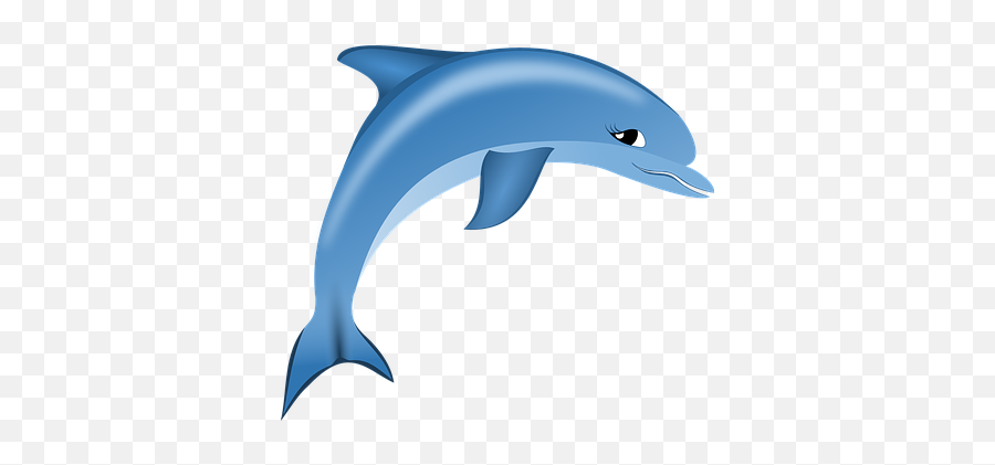 70 Free Delfin U0026 Dolphin Vectors - Pixabay Transparent Cartoon Dolphin Png Emoji,Dolphin Emoji